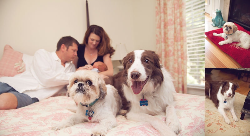 on-location-lifestyle-newborn-photographer-raleigh-durham-4