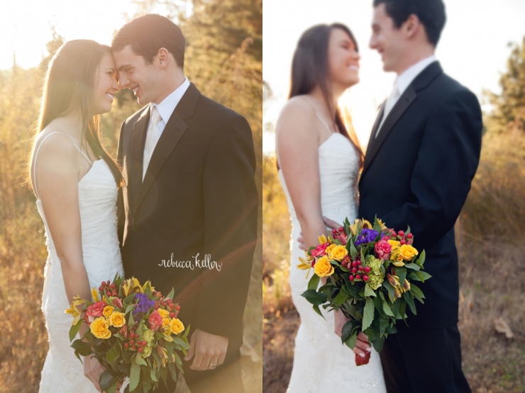 Raleigh Bridal Portraits_069-photo