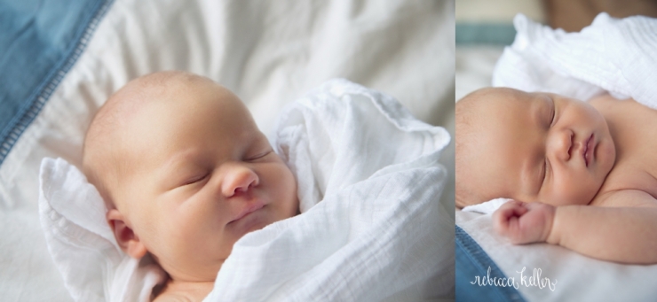 raleigh-newborn-photographer-photo-3