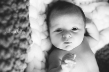 raleigh-cary-newborn-photographer-4-photo