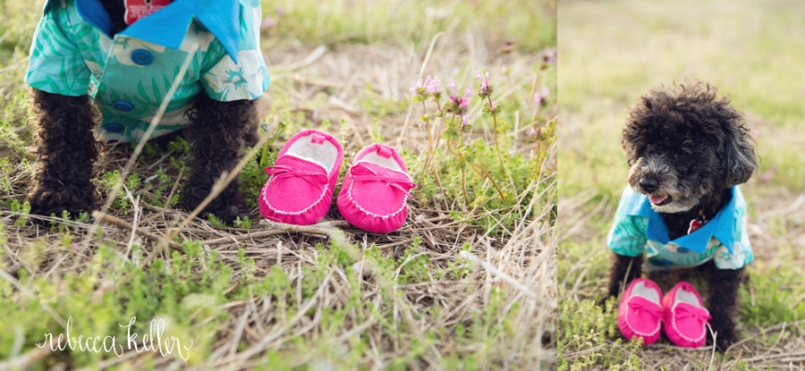 raleigh-nc-maternity-photography_409