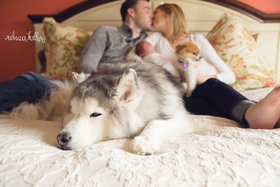 Raleigh-Newborn-Photography_1684