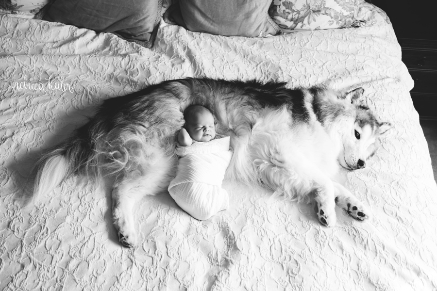 Raleigh-Newborn-Photography_1685