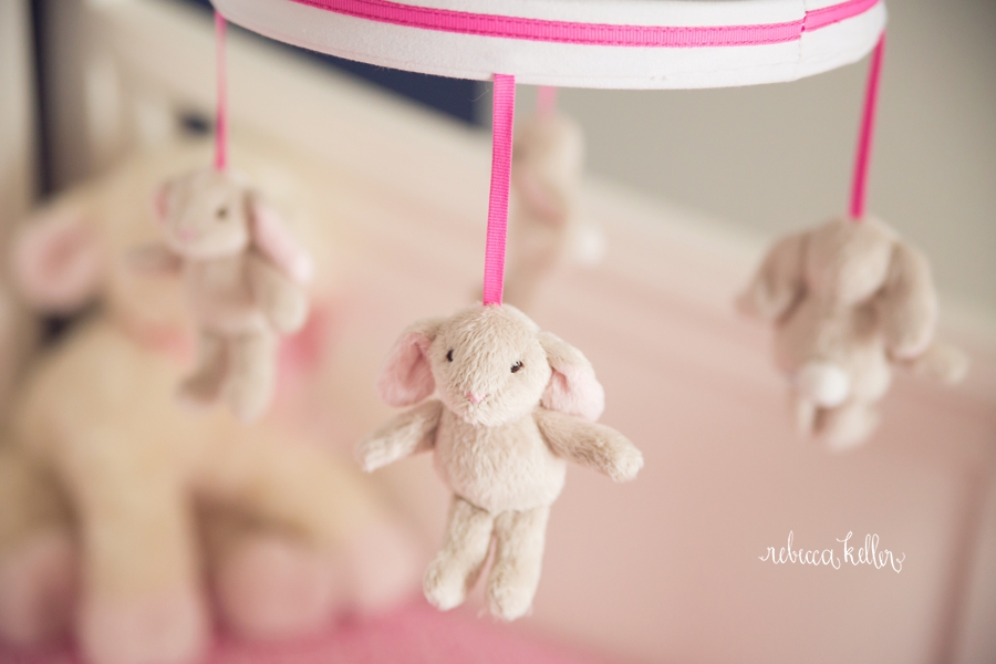 Raleigh-Newborn-Photography_1687