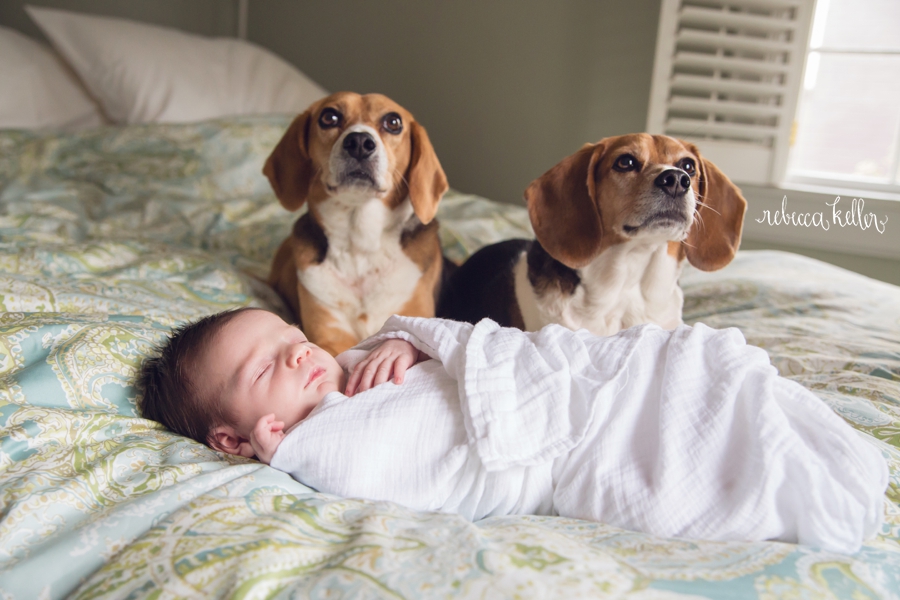 raleigh-newborn-photography-at-home_1745