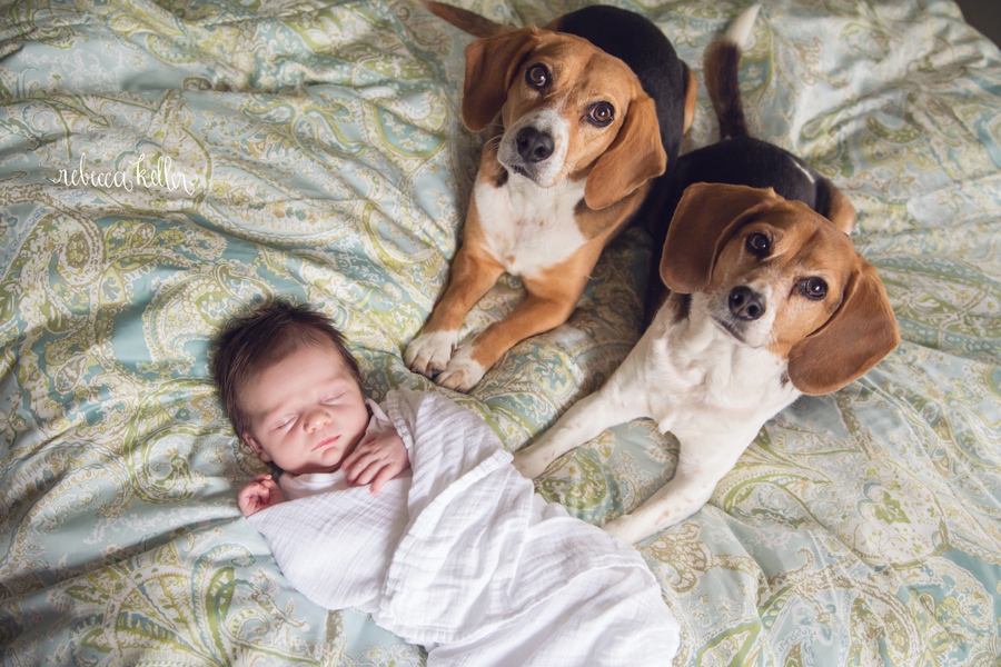 raleigh-newborn-photography-at-home_1746