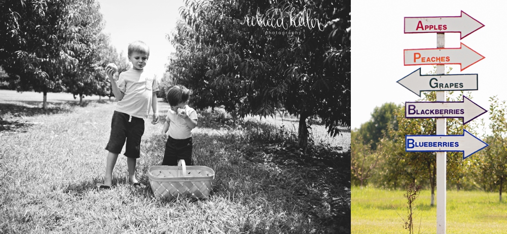 raleigh-family-photographer_3295