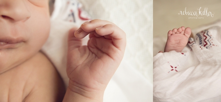 cary newborn photographer_3314