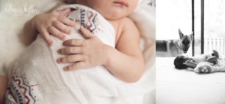 cary newborn photographer_3315