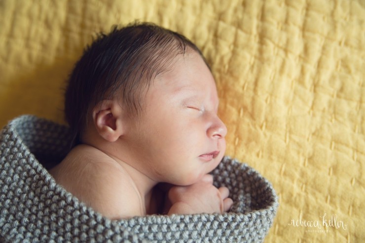 washington DC newborn photographer_3514