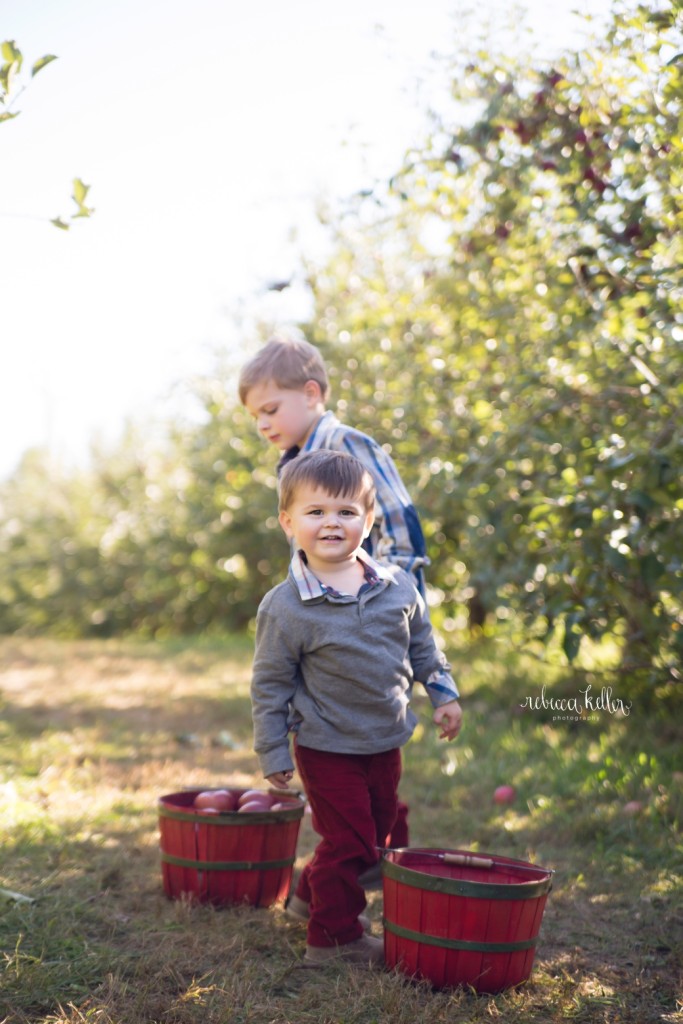 raleigh apple picking family photographer