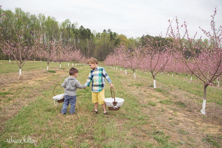 family photographer Cary