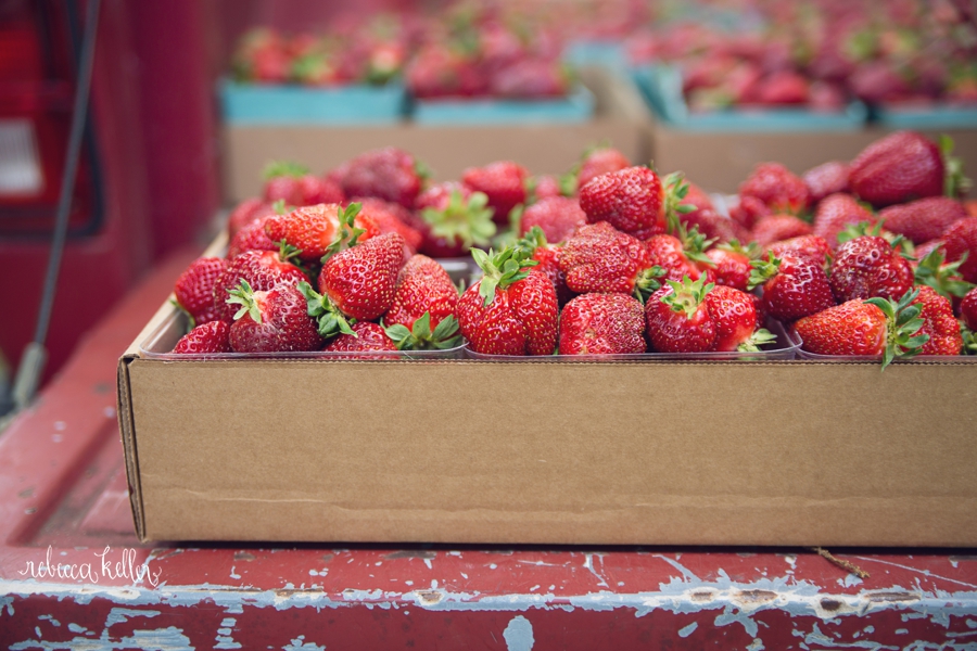 where to pick strawberries in raleigh