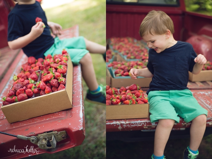 Berry Sweet Where to Pick Strawberries in Raleigh