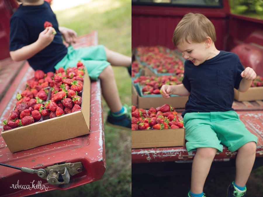 raleigh strawberry farms 