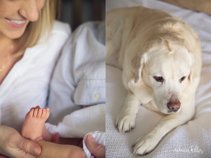 raleigh wake forest newborn photography_1988
