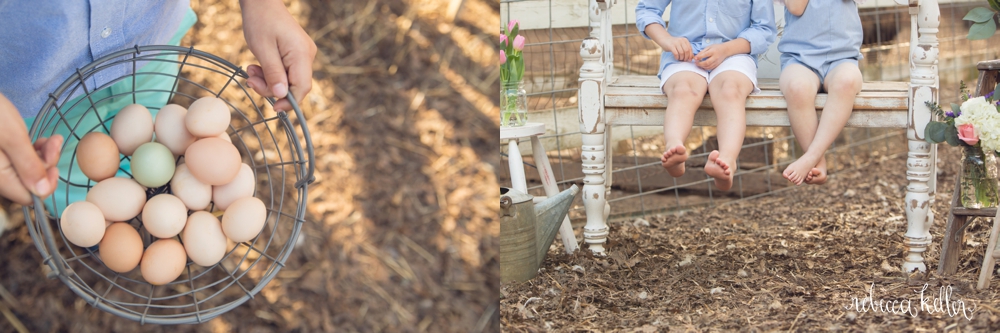 winterpast farm wake forest photographer 34_3777