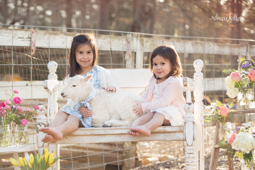 raleigh spring lamb mini sessions 45 4_3843