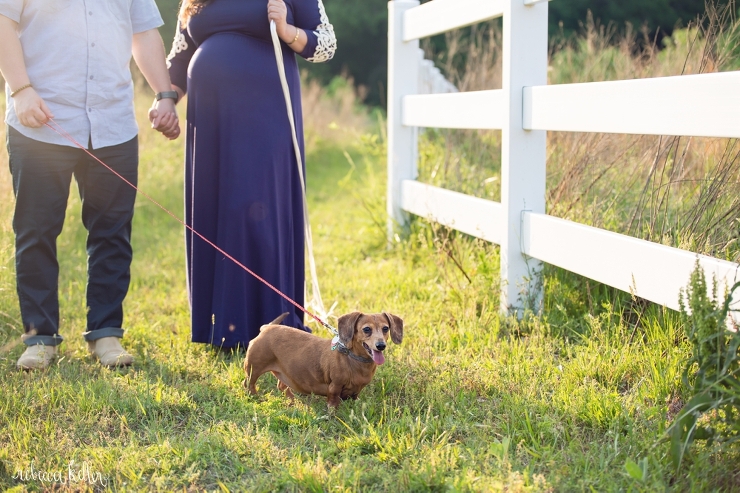 raleigh maternity portrait photography 45_4273