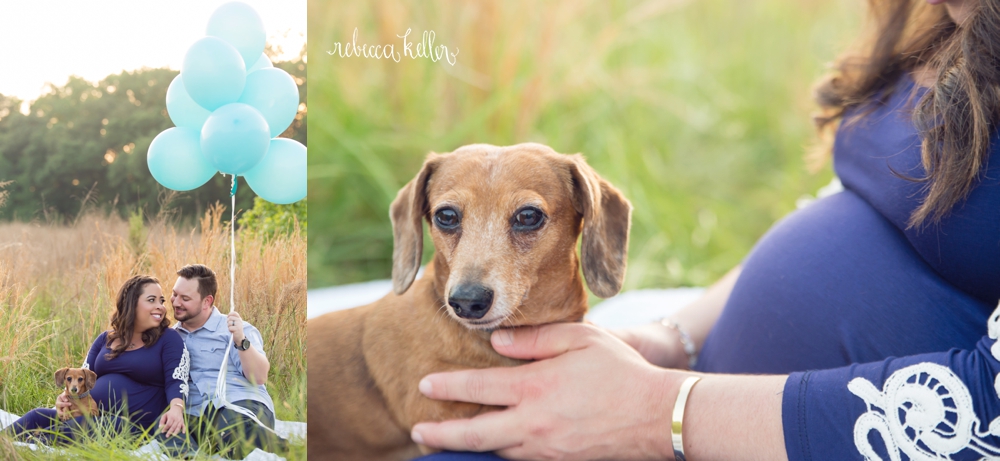 raleigh maternity portrait photography 45_4281