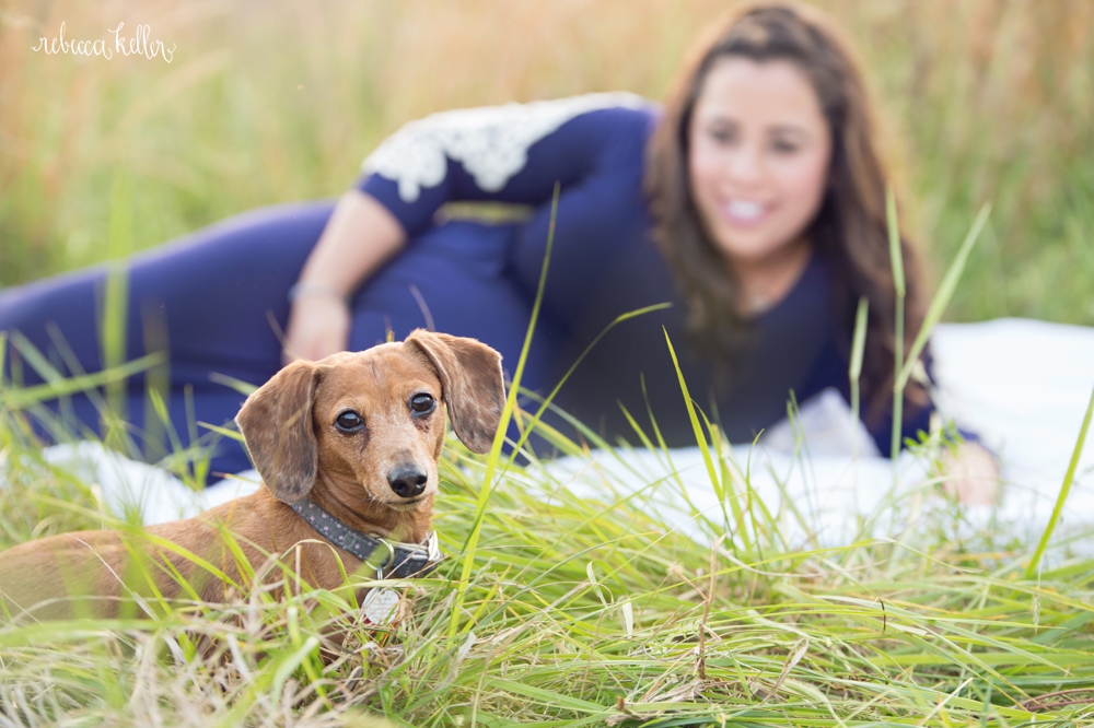 raleigh maternity portrait photography 45_4282