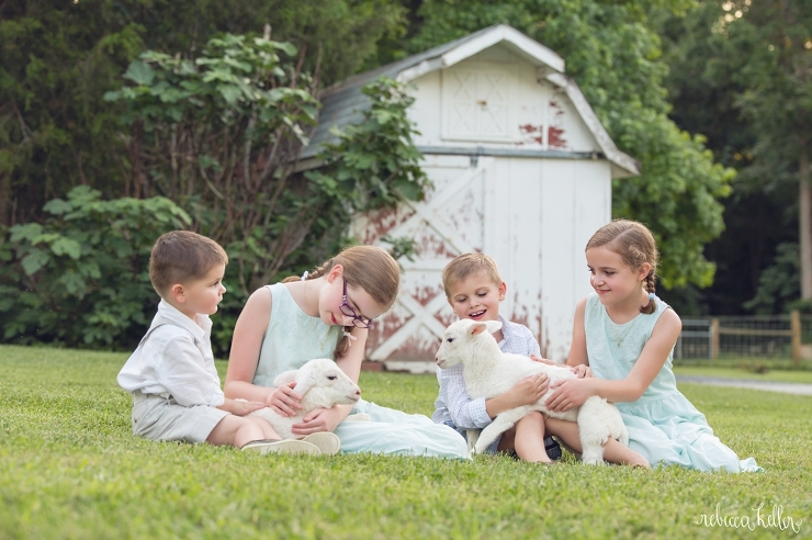 raleigh baby lamb photographer 34534