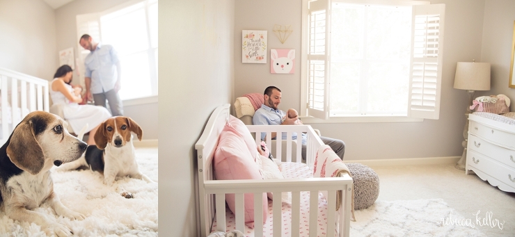 raleigh newborn photographer 489_4832