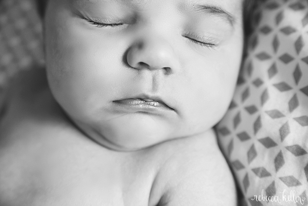 Raleigh Newborn Photography 634