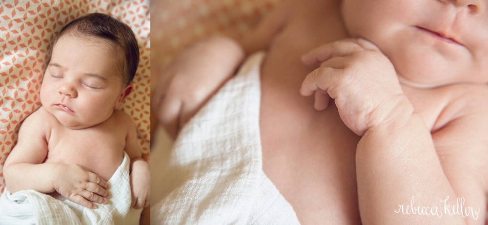 Raleigh Newborn Photography 6