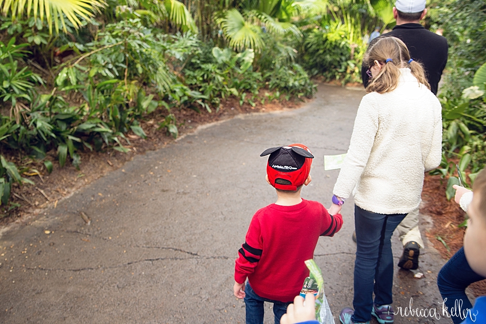 Disney Family Photographer 38.jpg