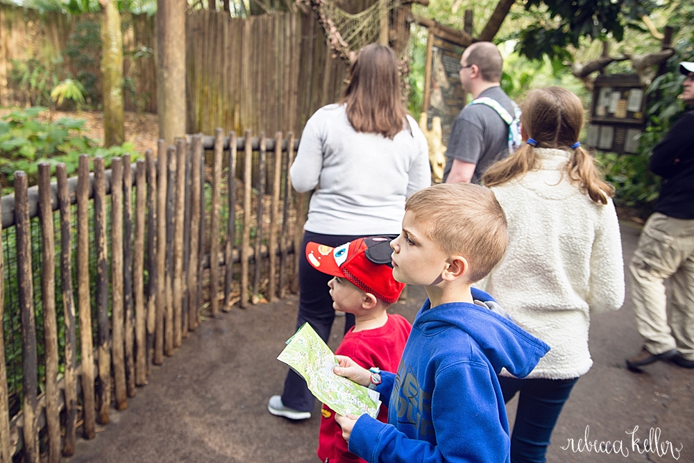 Disney Family Photographer 98.jpg