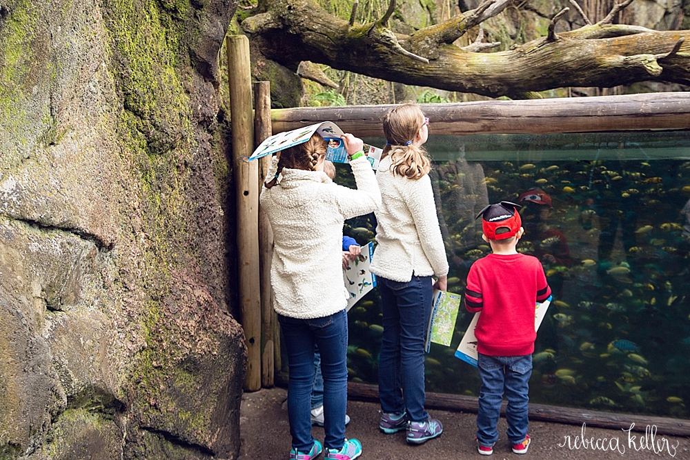 Disney Family Photographer 118.jpg