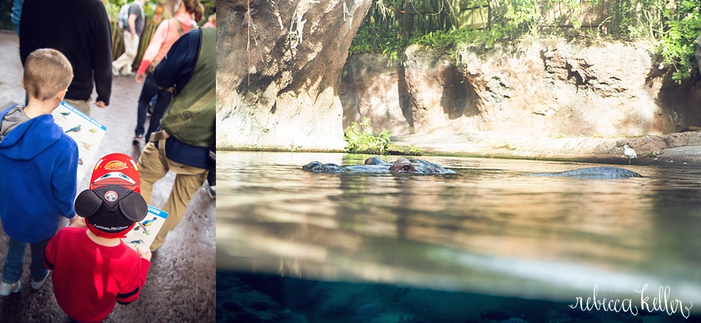 Disney Family Photographer 238.jpg