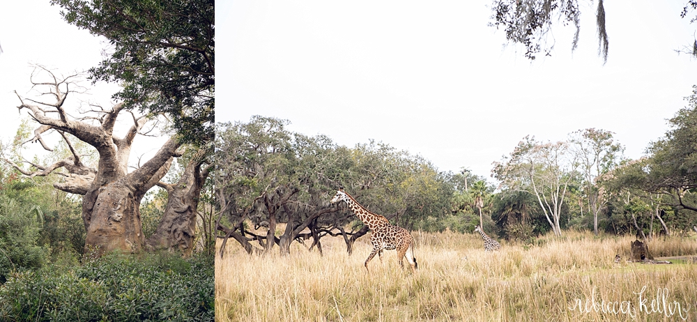 Disney Family Photographer 338.jpg