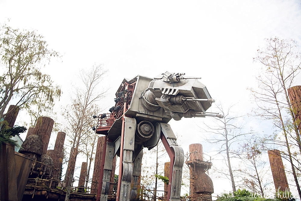 Disney Family Photos 8010.jpg