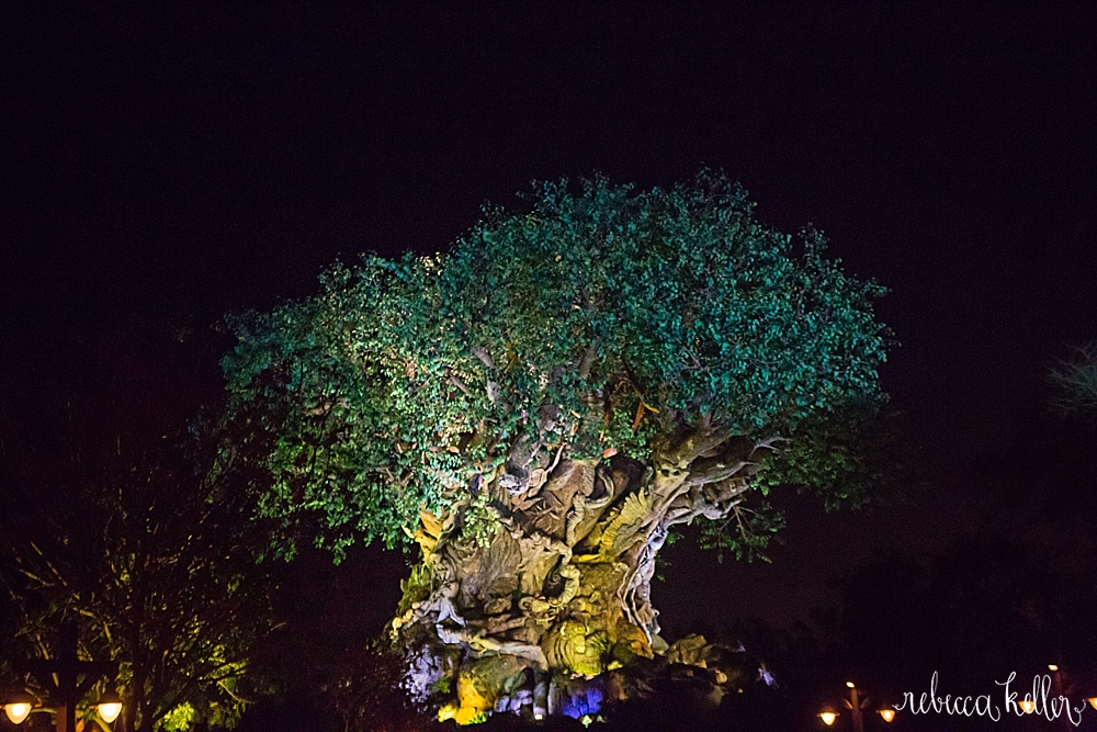 Disney Family Photos 26.jpg