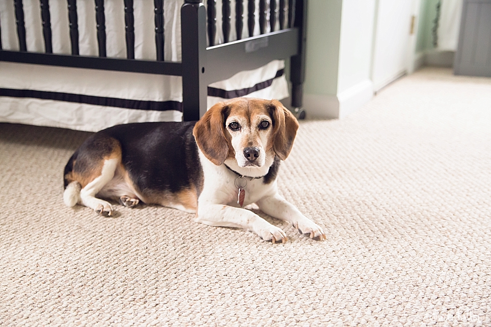 Raleigh Newborn Family Photography 459.jpg