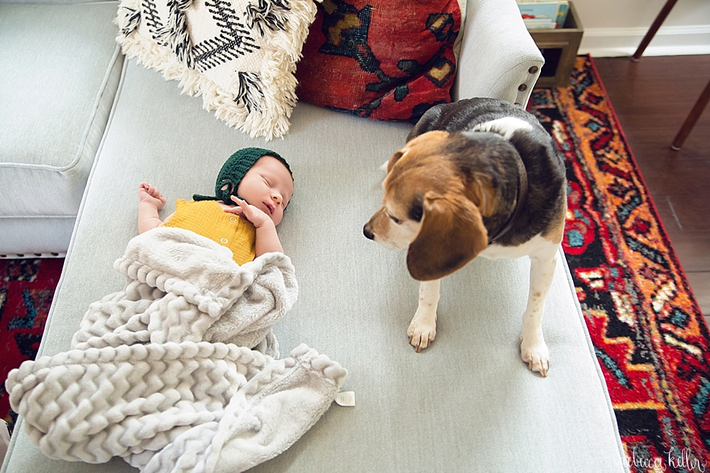 Raleigh Newborn Family Photography 659.jpg