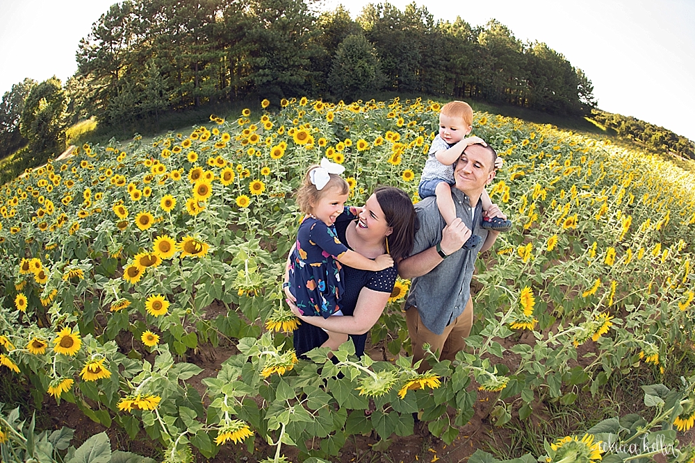 raleigh sunflowers dorthea dix park 4.jpg