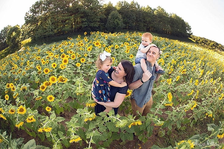 raleigh sunflowers dorthea dix park 4.jpg