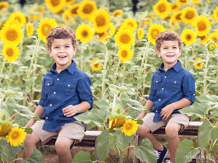 raleigh sunflowers photographer 2443.jpg