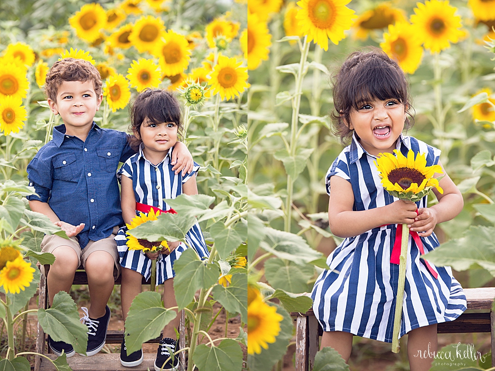 raleigh sunflowers photographer 4003.jpg