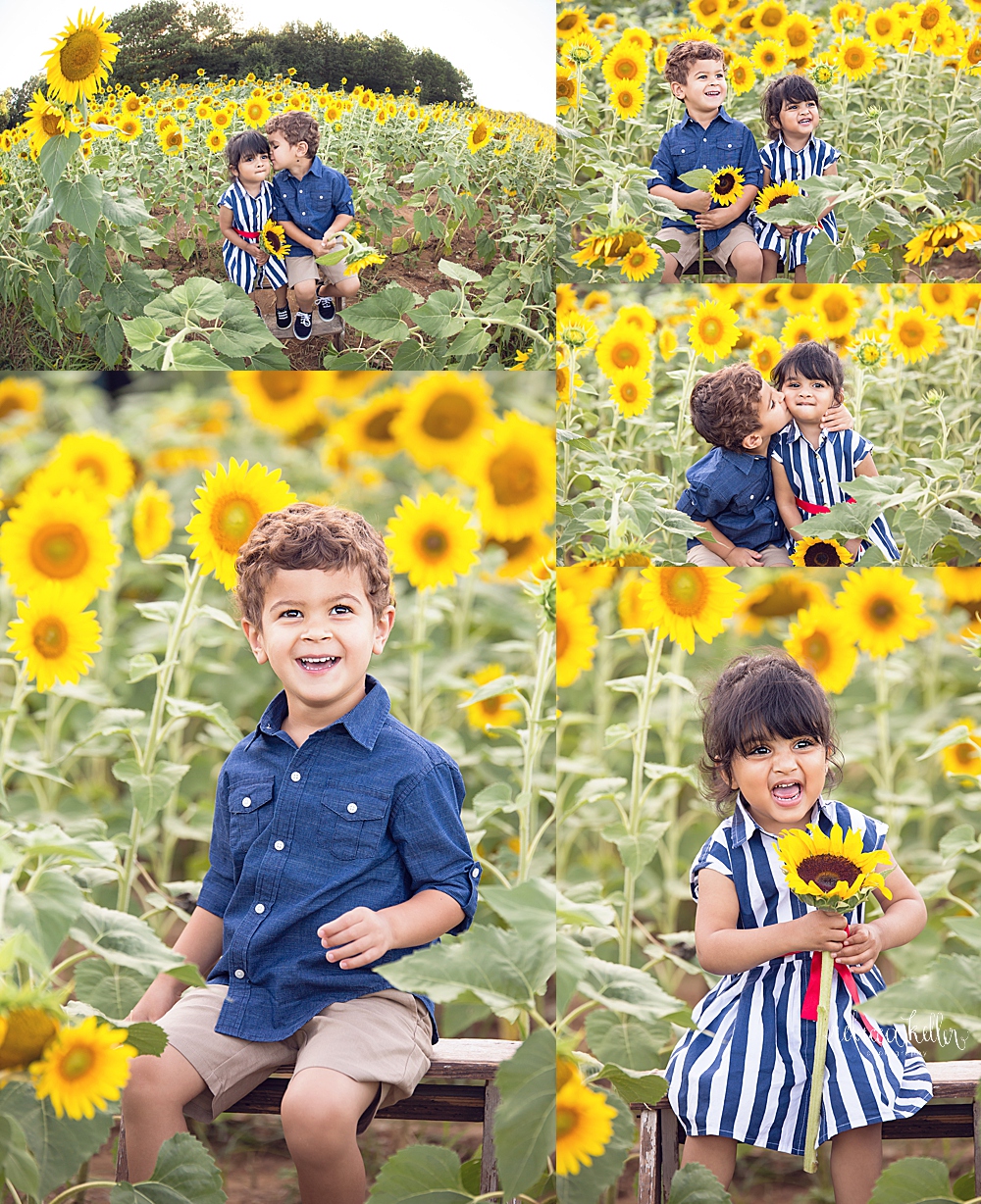 Raleigh sunflowers photographer 9.jpg