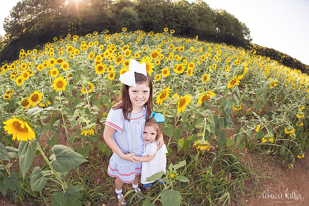 raleigh child sunflowers photography 445.jpg