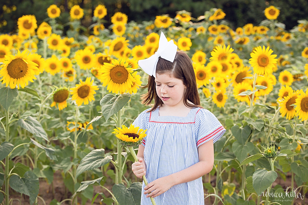 raleigh child sunflowers photography 05.jpg
