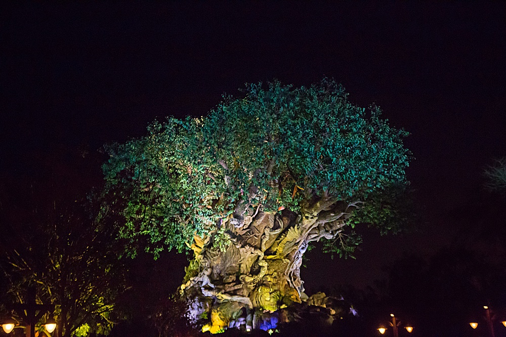 © 2017 Rebecca Keller Photography