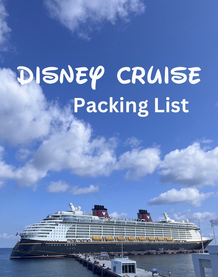 disney cruise packing list 1 