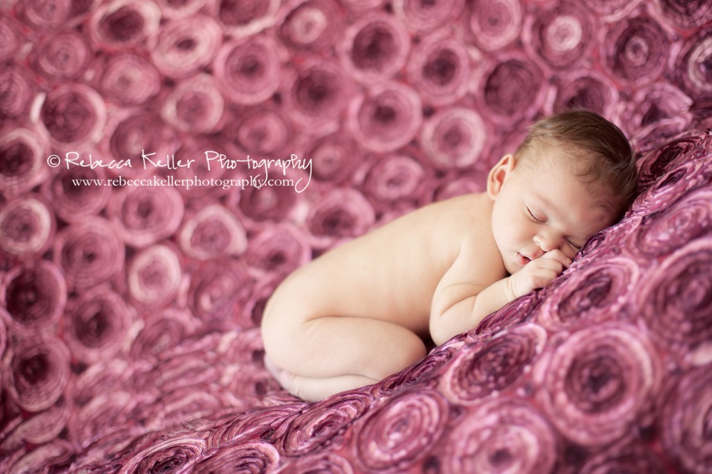 raleigh-durham-newborn-portraits-1